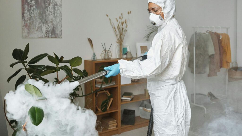 Servicio de fumigación no tóxico y seguro en Monterrey