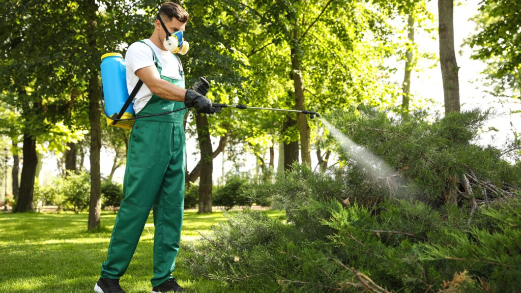 Eliminación de plagas en áreas comunes de condominios en Monterrey