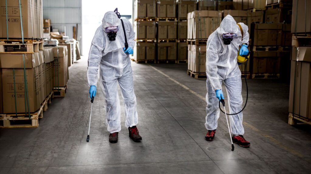 Servicio de fumigación preventiva en Monterrey