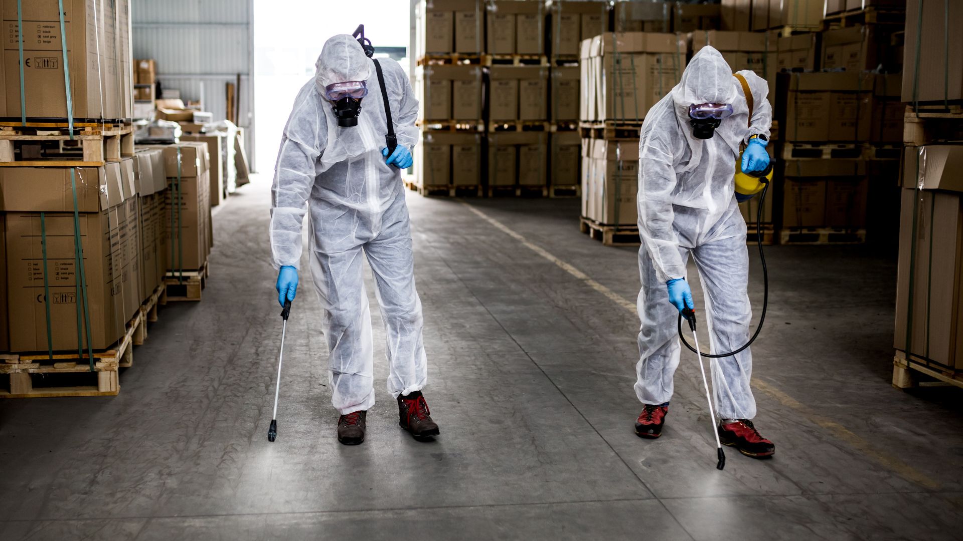 Servicio de fumigación preventiva en Monterrey