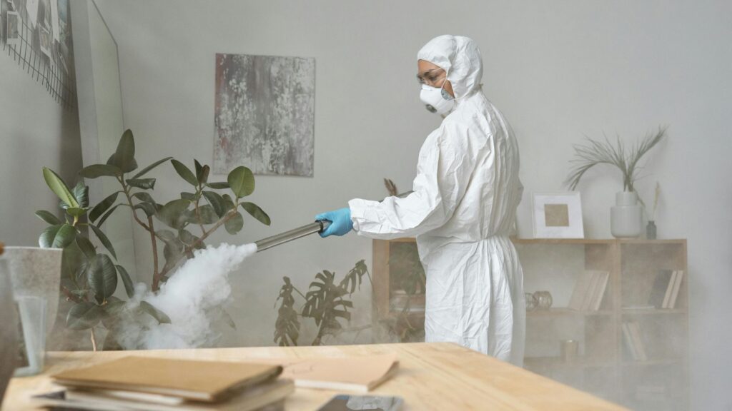 Control de plagas con productos amigables con el medio ambiente en Monterrey